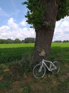 Grosseto, vi presento la mia città: vita lenta e autentica